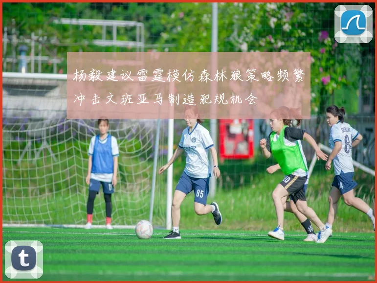 杨毅建议雷霆模仿森林狼策略频繁冲击文班亚马制造犯规机会