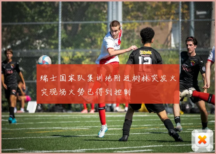 瑞士国家队集训地附近树林突发火灾现场火势已得到控制
