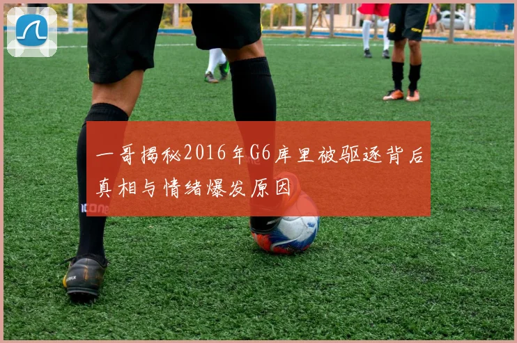 一哥揭秘2016年G6库里被驱逐背后真相与情绪爆发原因